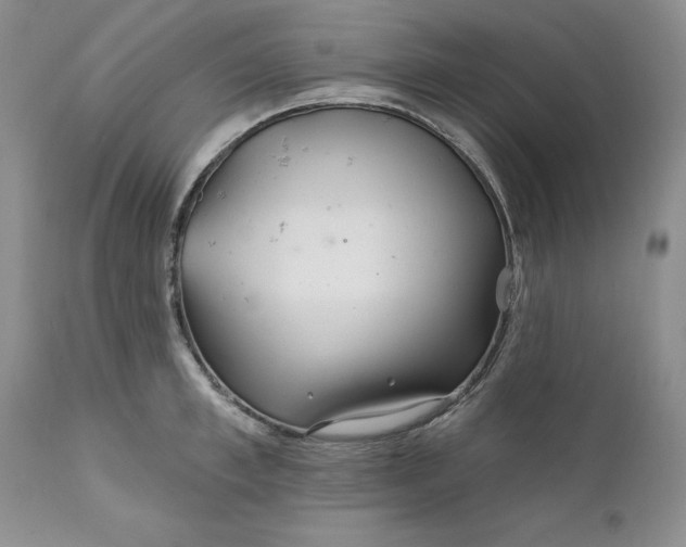 X0000112160997200908281359