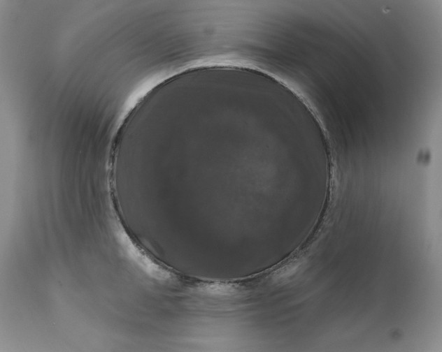 X0000112160998200908281359