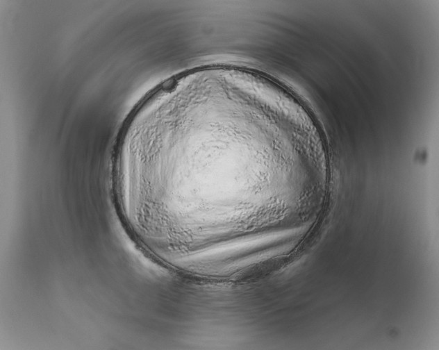 X0000112160999200908281359