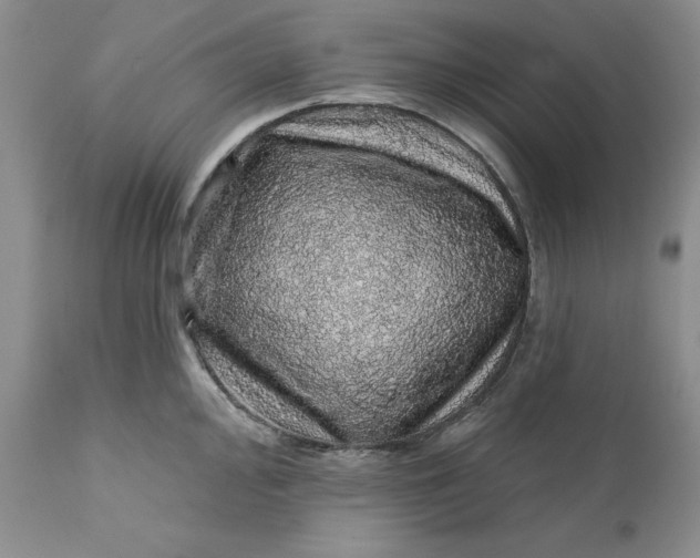 X0000112161000200908281359