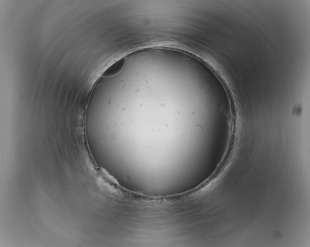 X0000112161001200908281359