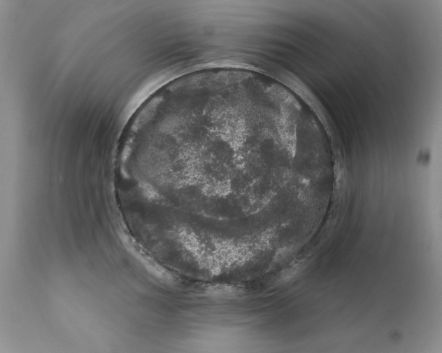 X0000112161002200908281359