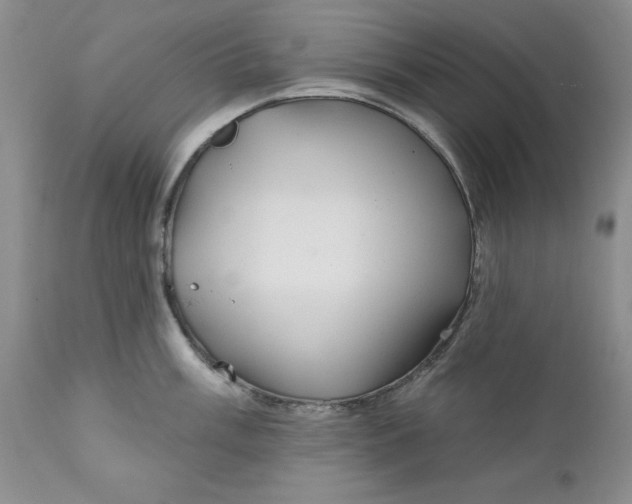 X0000112161003200908281359