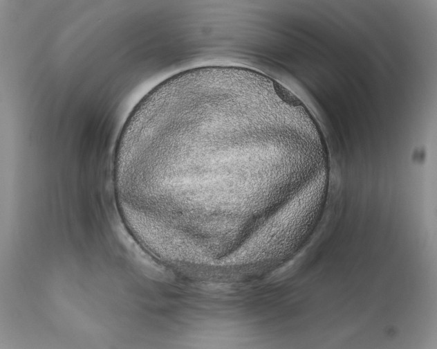 X0000112161004200908281359