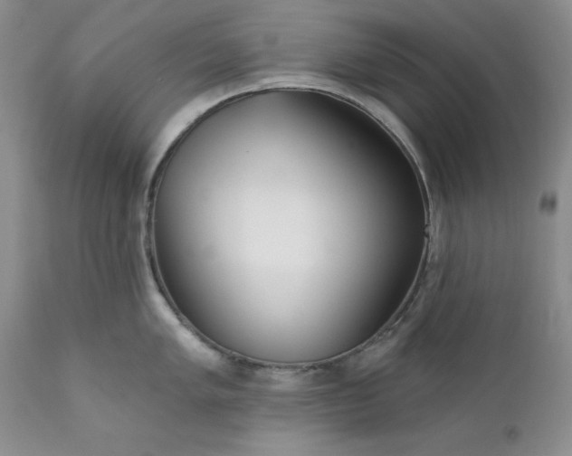 X0000112161005200908281359