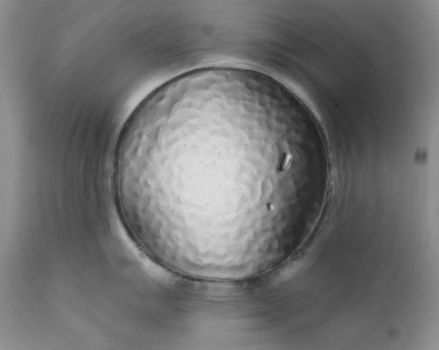 X0000112161007200908281359