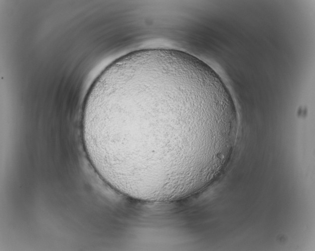 X0000112161008200908281359