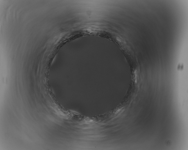 X0000112161009200908281358