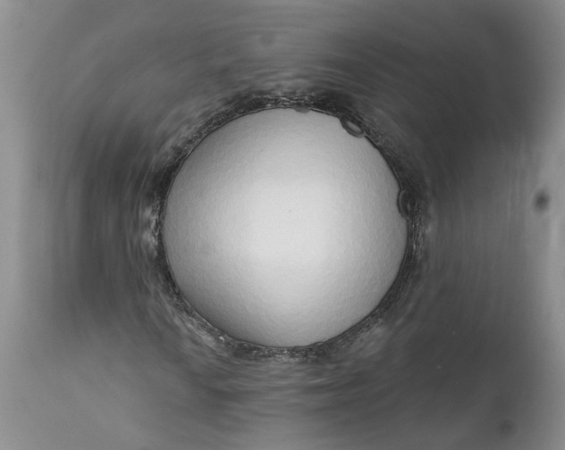 X0000112161010200908281358