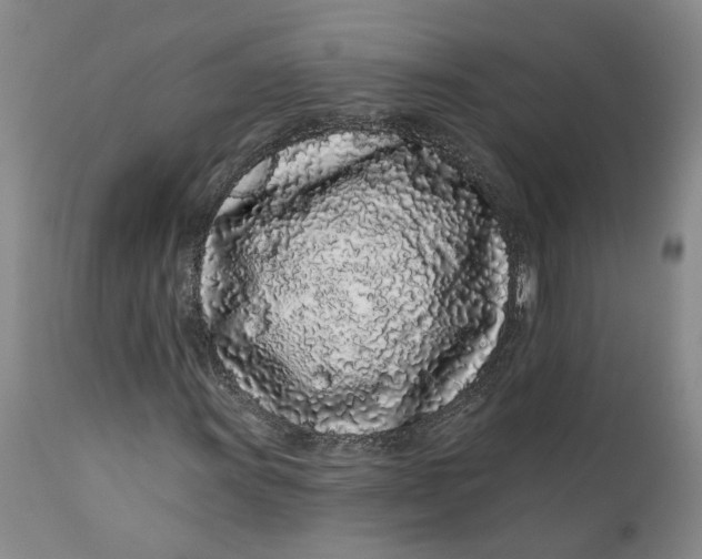 X0000112161011200908281358