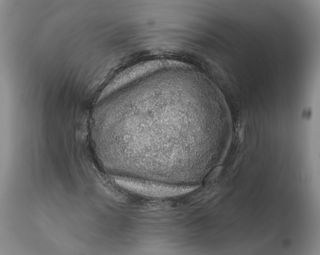 X0000112161012200908281358