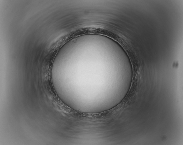 X0000112161014200908281358