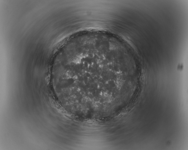 X0000112161015200908281358