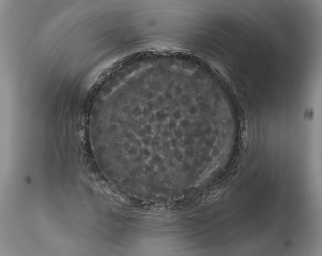 X0000112161016200908281359