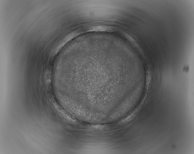 X0000112161017200908281359