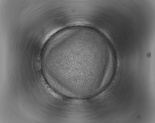 X0000112161018200908281359