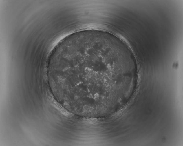 X0000112161019200908281359