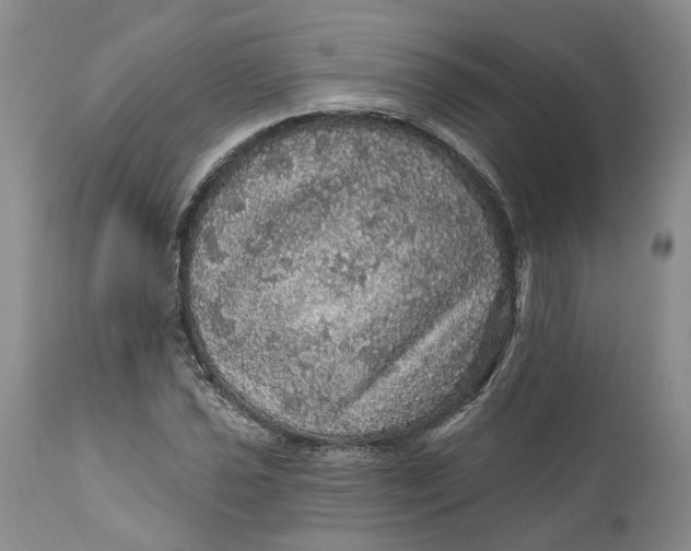 X0000112161021200908281359