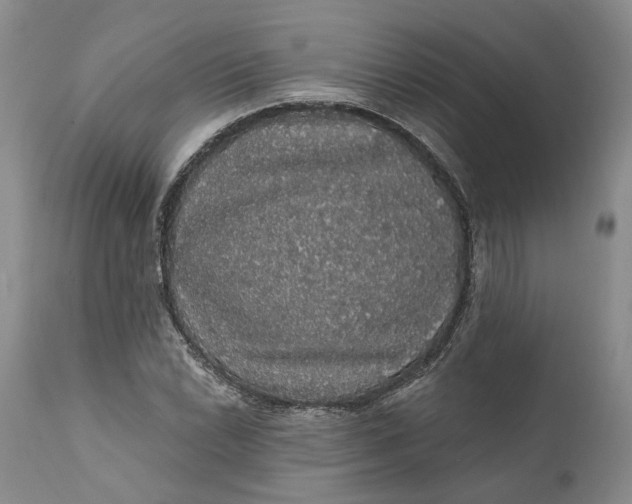 X0000112161022200908281359