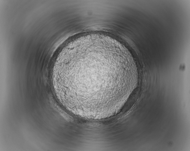 X0000112161023200908281359