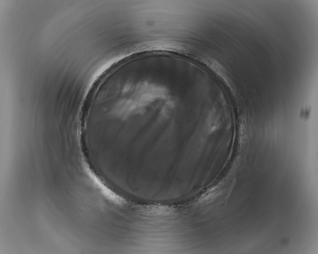 X0000112161024200908281359