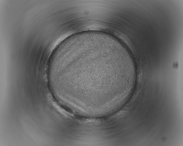 X0000112161026200908281359