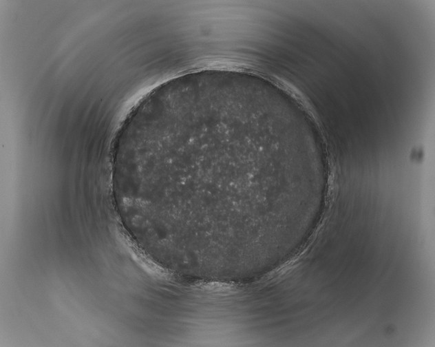 X0000112161027200908281359