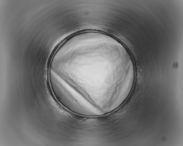 X0000112161028200908281359