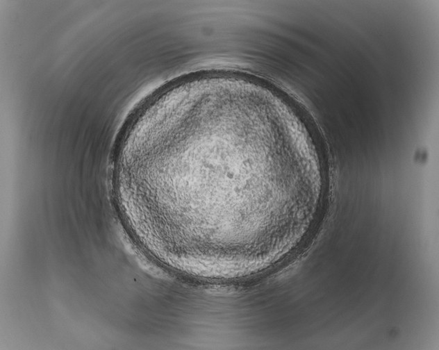 X0000112161029200908281359