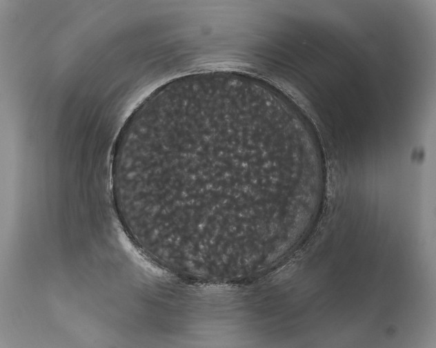 X0000112161031200908281359