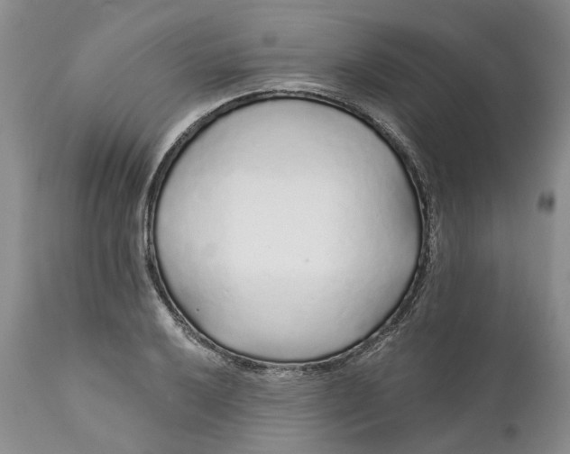 X0000112161032200908281359