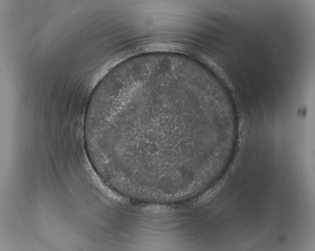 X0000112161033200908281359