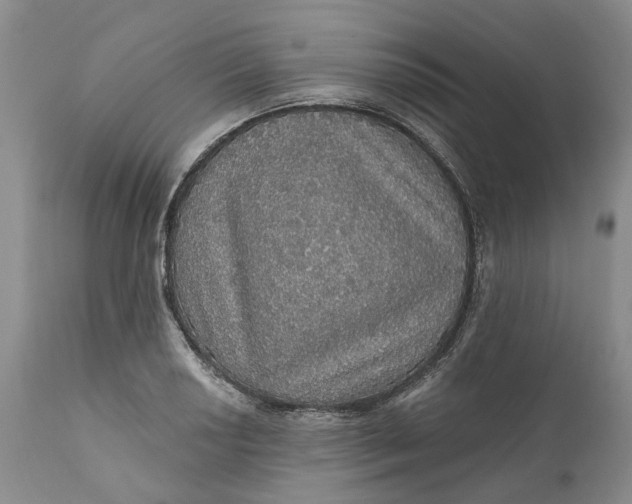 X0000112161034200908281359