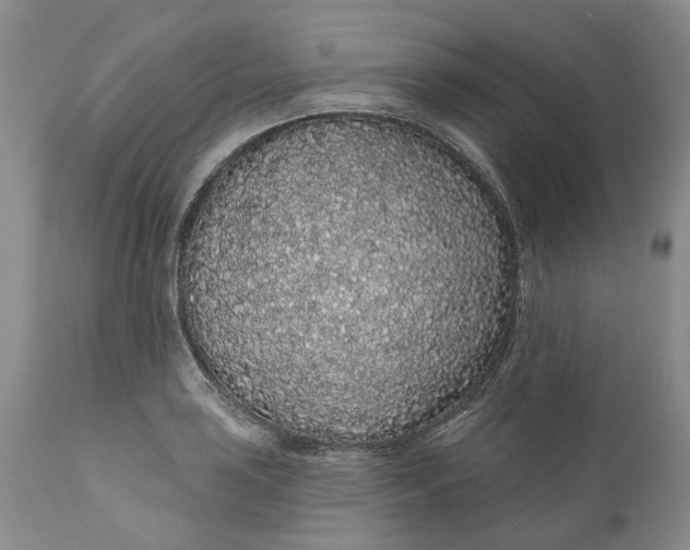 X0000112161035200908281359