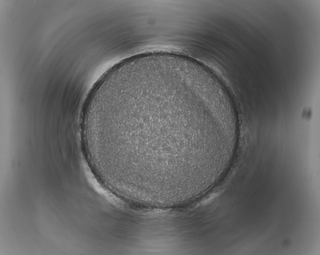 X0000112161038200908281359