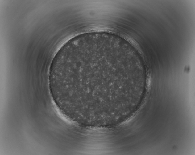 X0000112161039200908281359