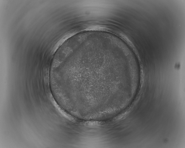 X0000112161041200908281359