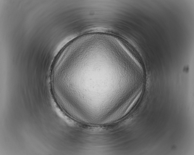 X0000112161042200908281359