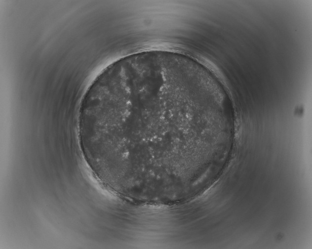 X0000112161043200908281359