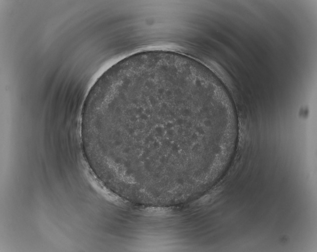 X0000112161044200908281359