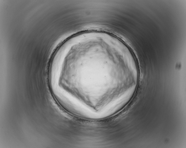 X0000112161045200908281359