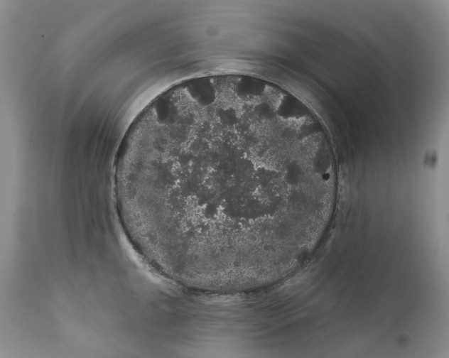 X0000112161047200908281359