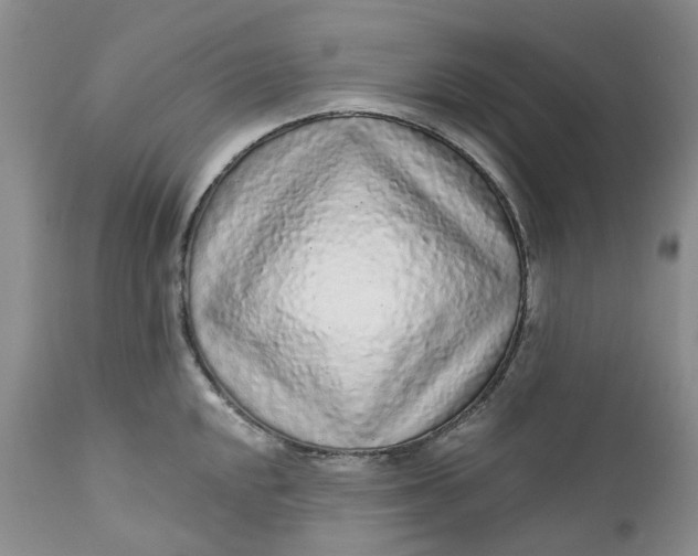 X0000112161048200908281359