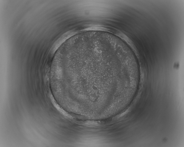 X0000112161049200908281359