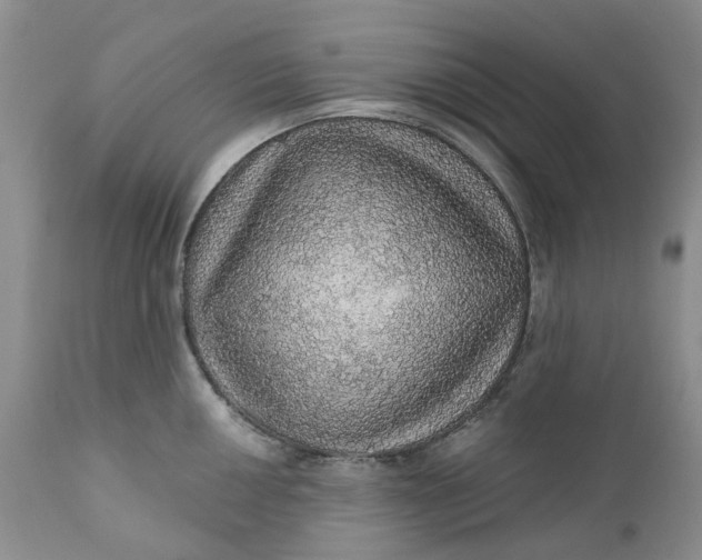 X0000112161050200908281359