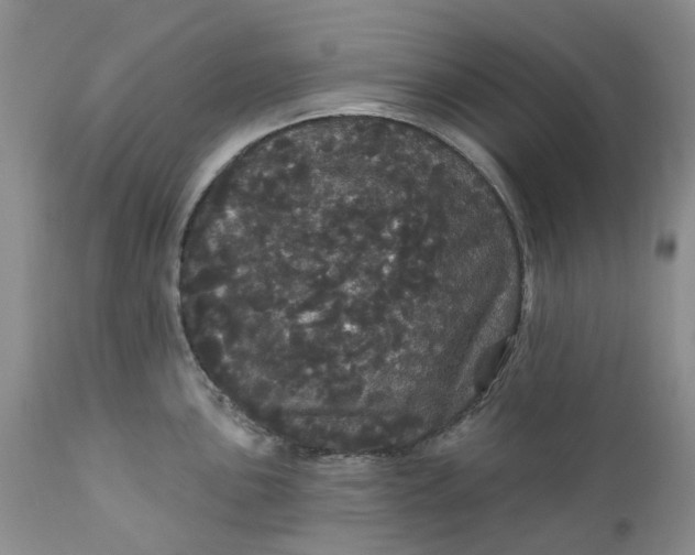 X0000112161051200908281359