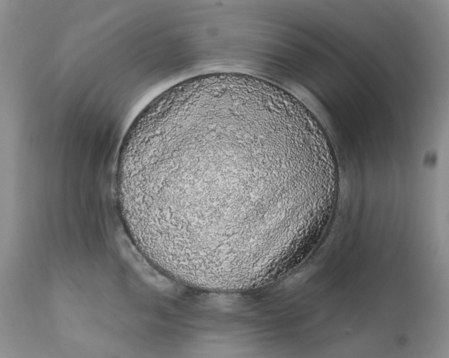 X0000112161052200908281359