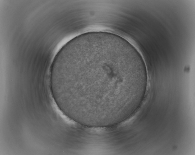 X0000112161053200908281359