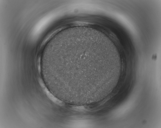 X0000112161054200908281359