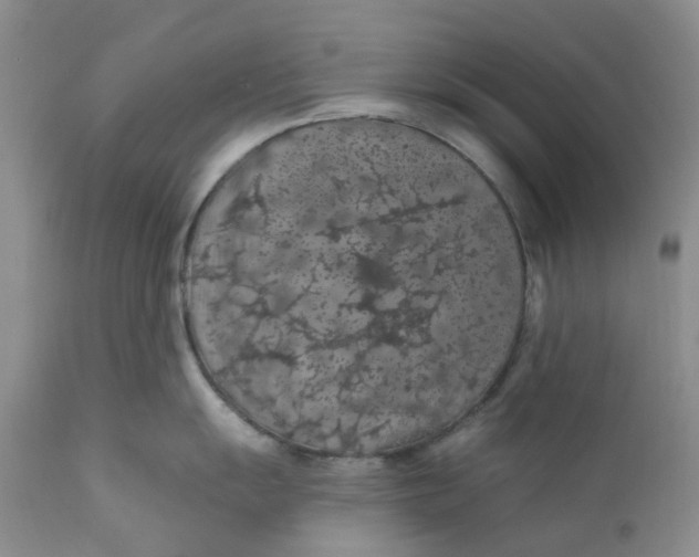 X0000112161055200908281359